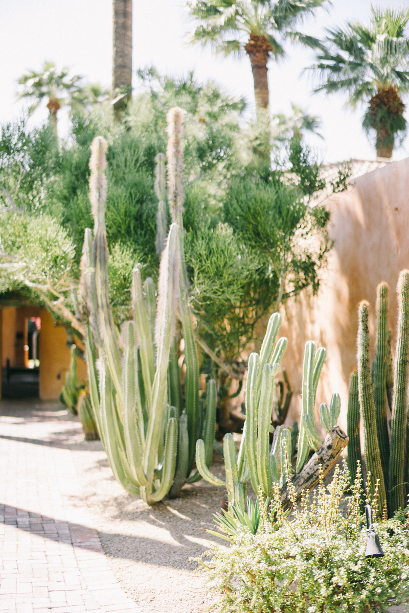 royal palms resort wedding venue scottsdale arizona