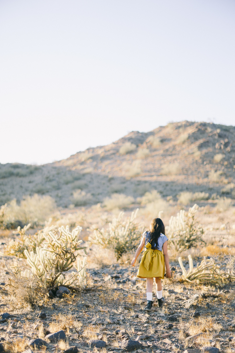 phoenix desert