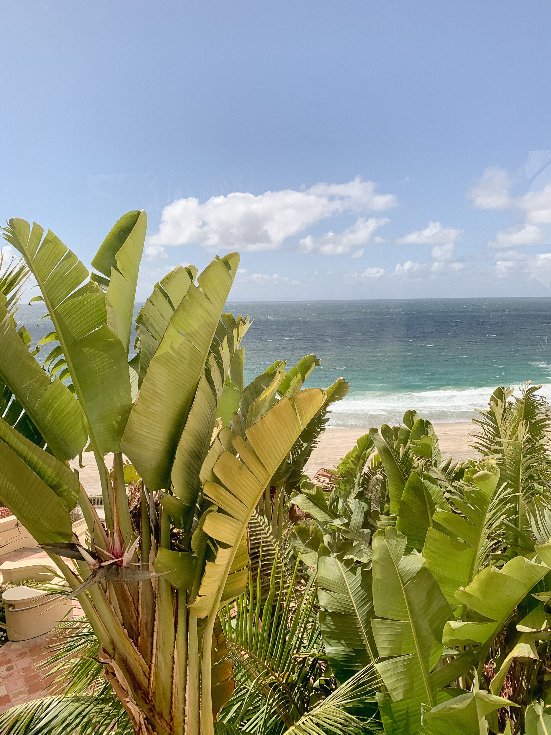 ritz-carlton laguna niguel dana point california wedding