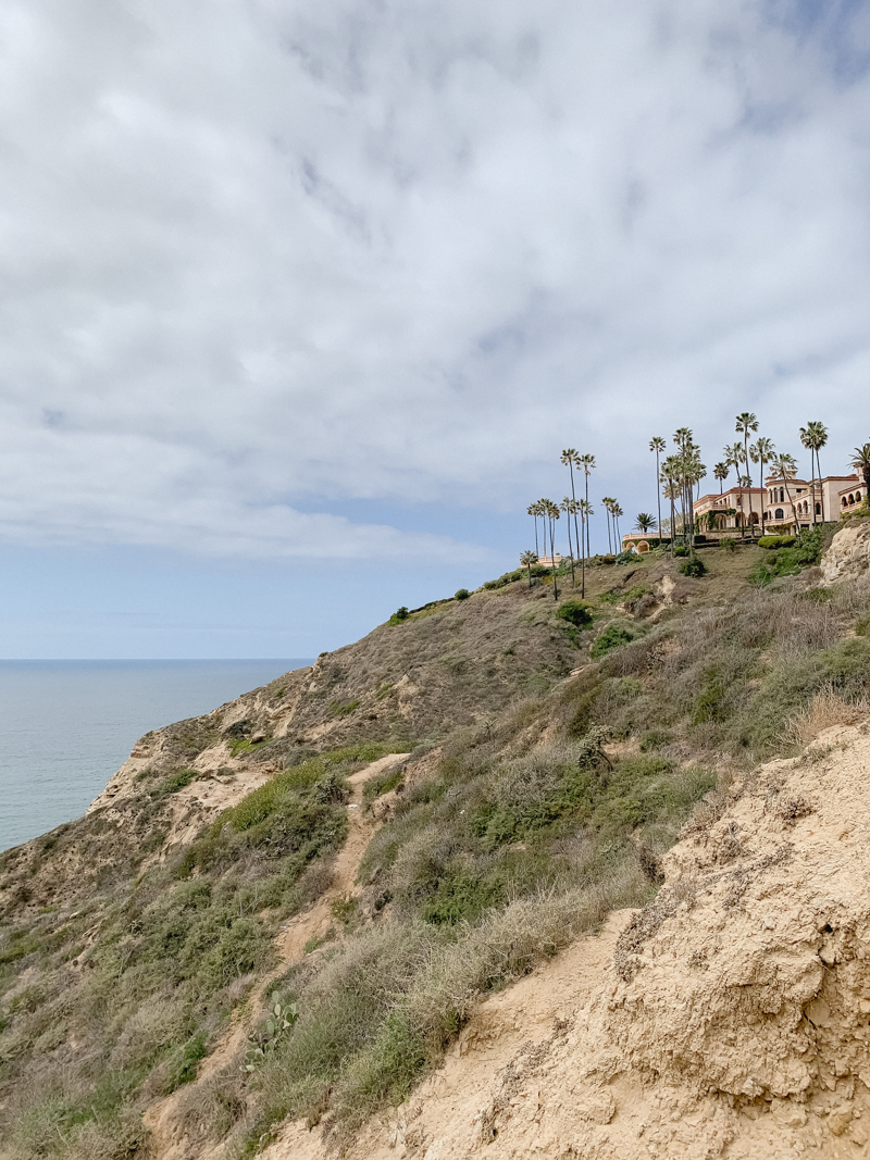 Blacks Beach San Diego California