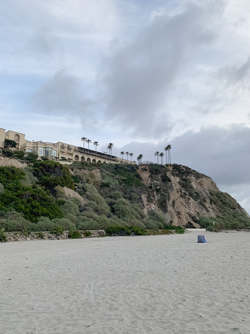 ritz-carlton laguna niguel dana point california