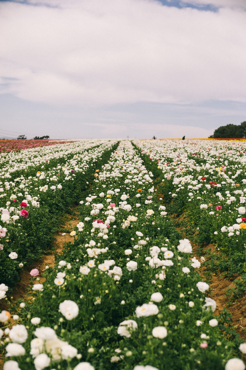 carlsbad california weekend visit