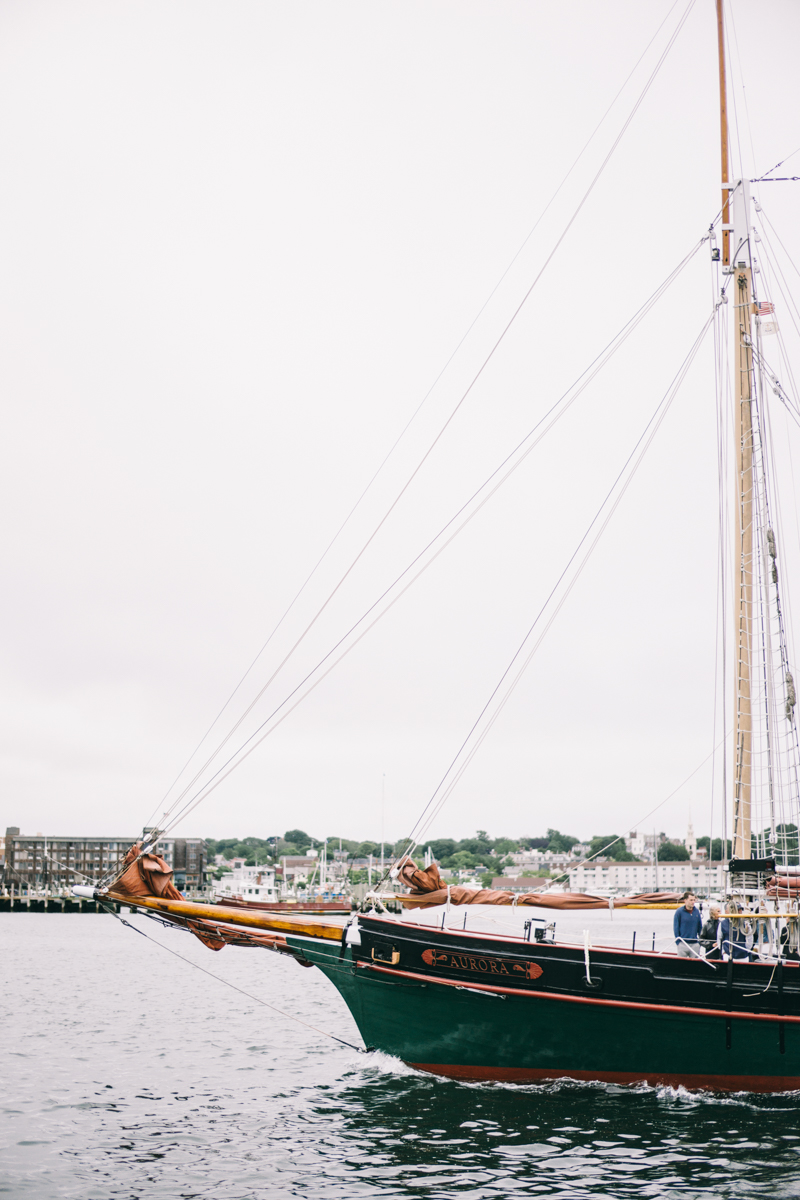 goat island wedding photos