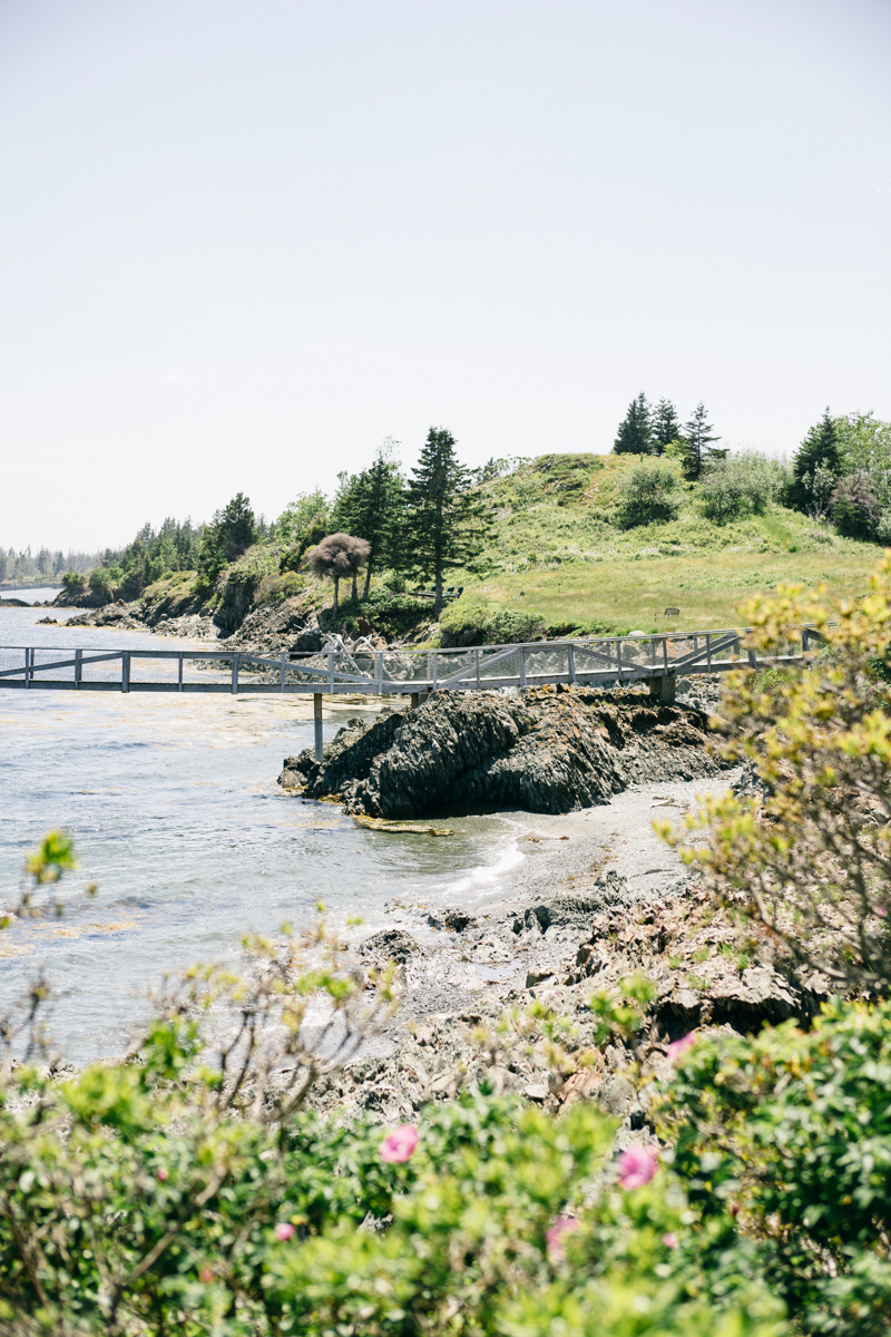 north haven maine island wedding