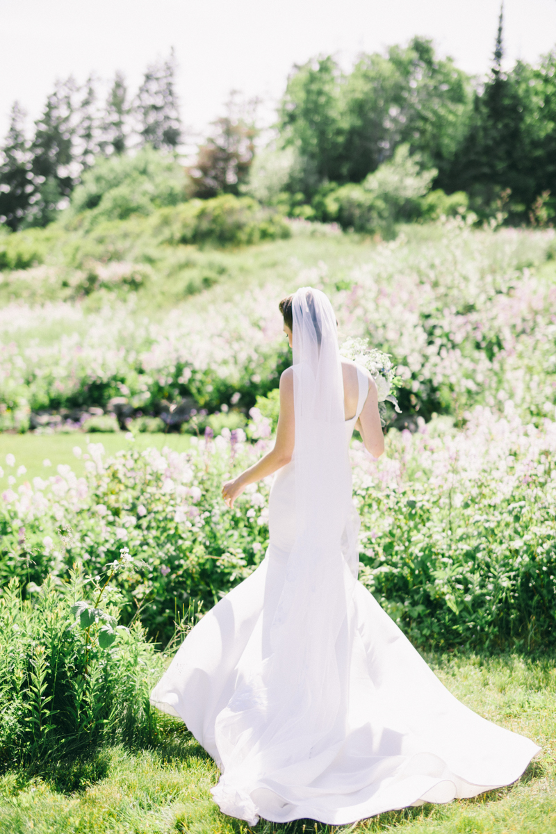 lupine field wedding photos