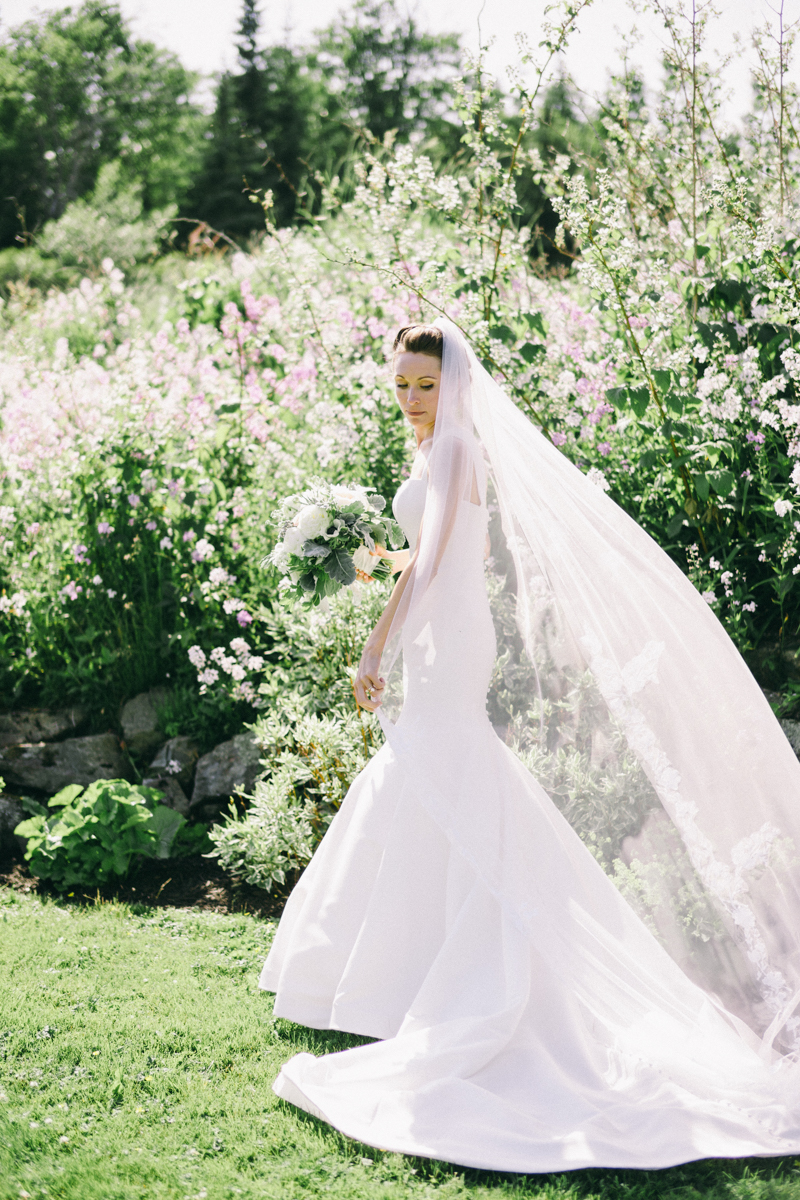 lupine field wedding photos