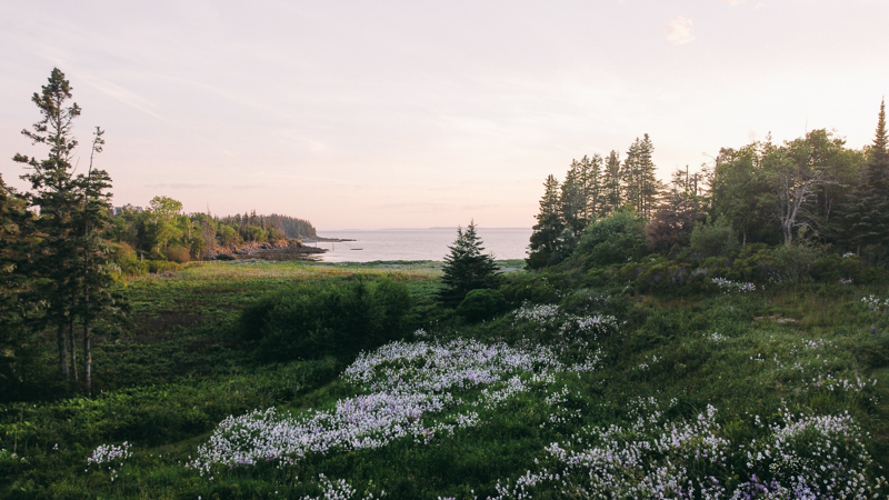 maine drone wedding photography