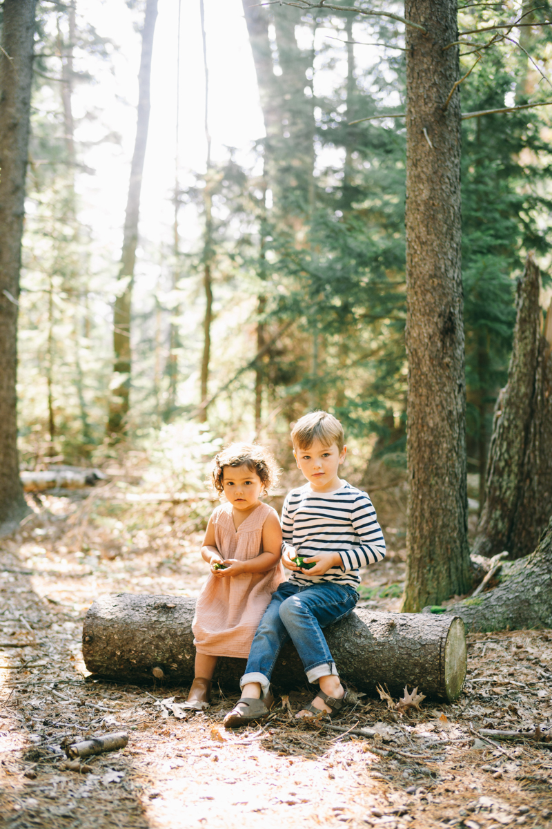 maine woods family session