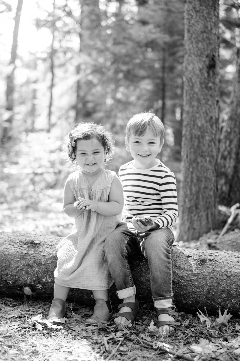 maine woods family session