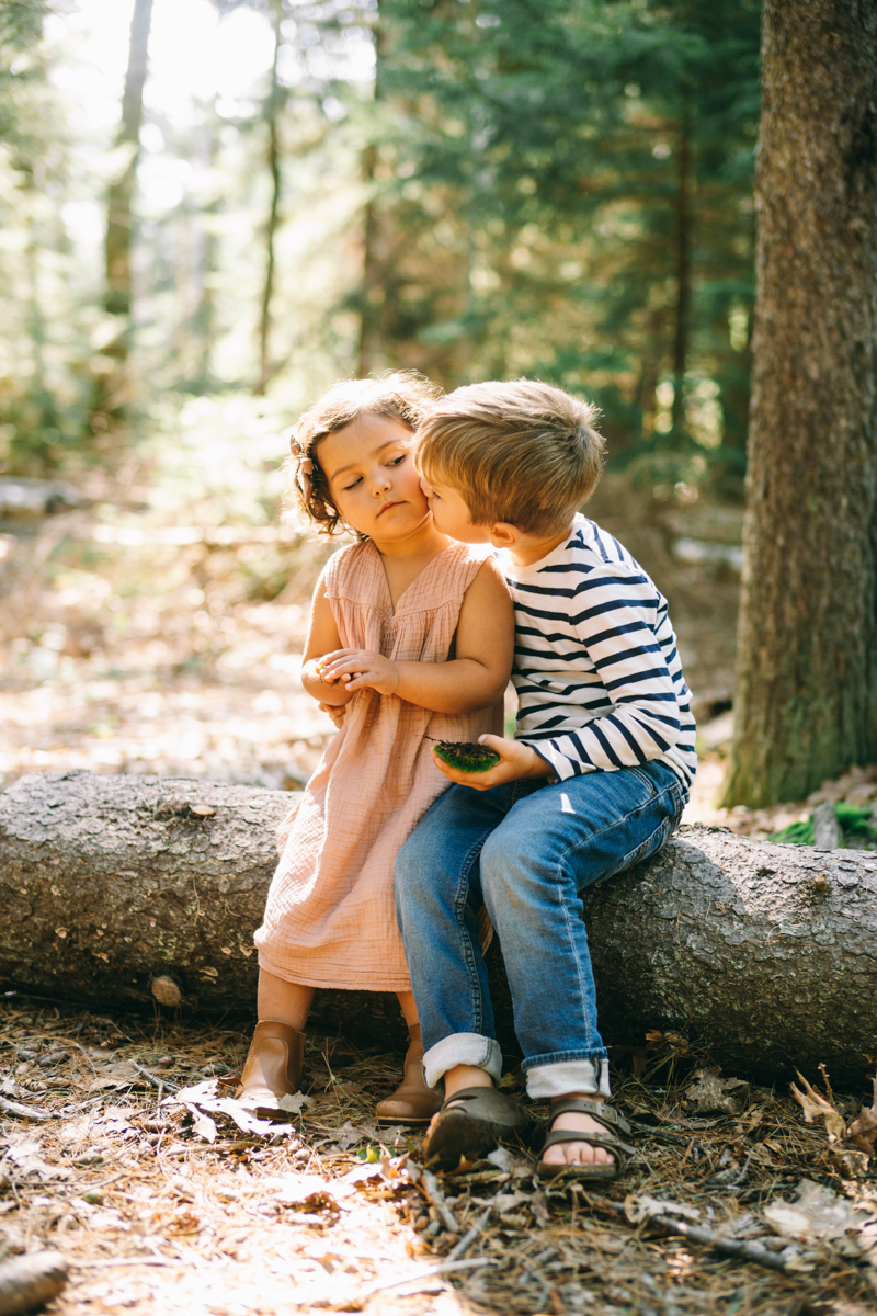 maine woods family session