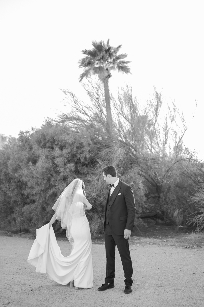 bride and groom desert photos in paradise valley