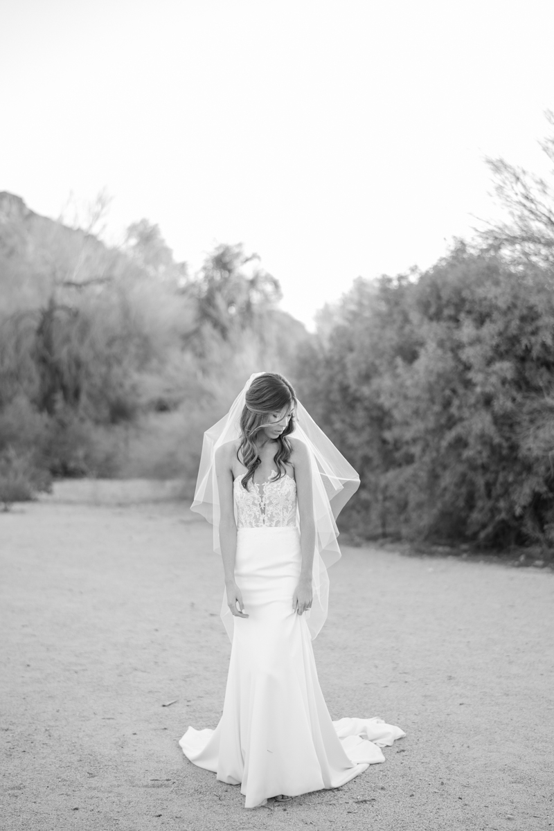 desert bridal portraits