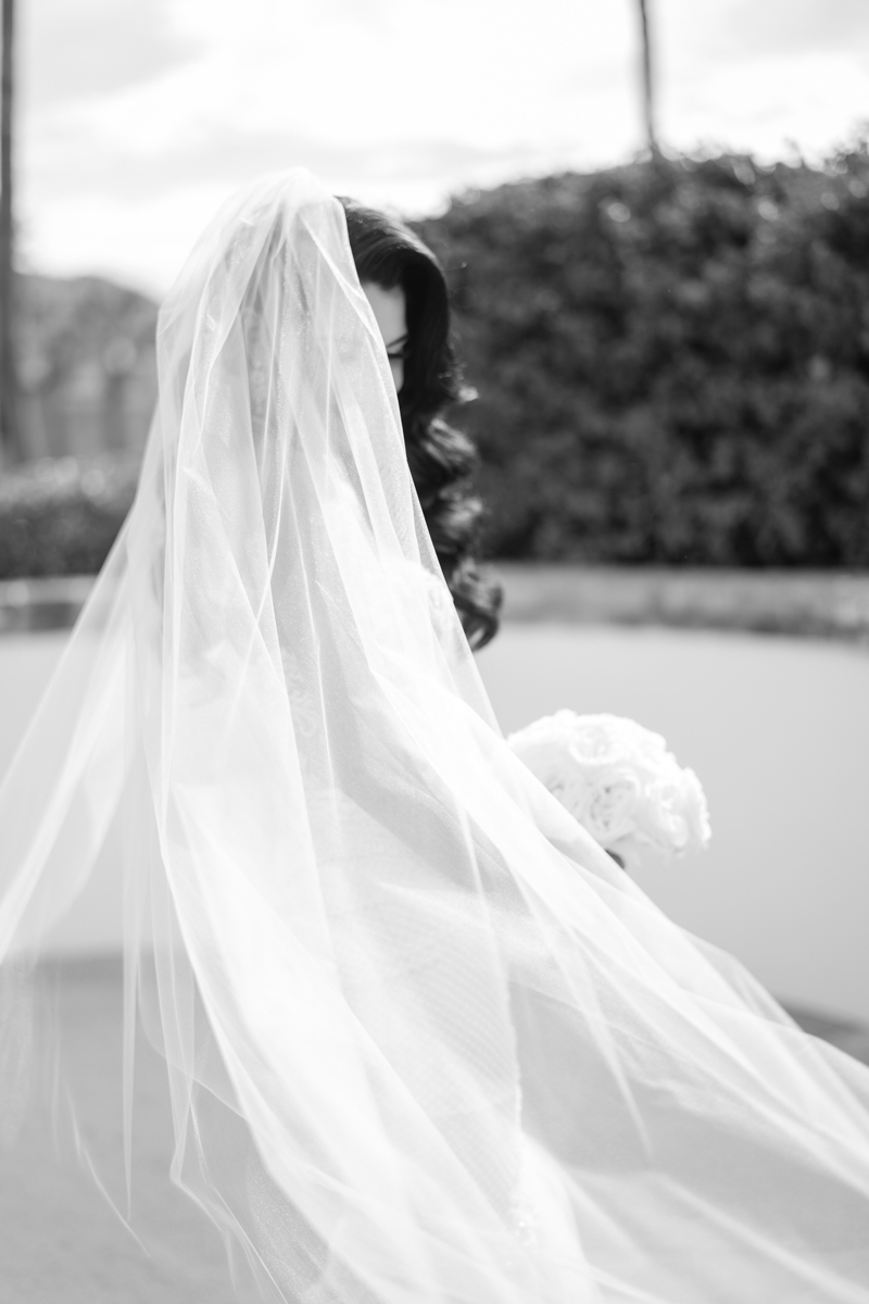 bride with veil