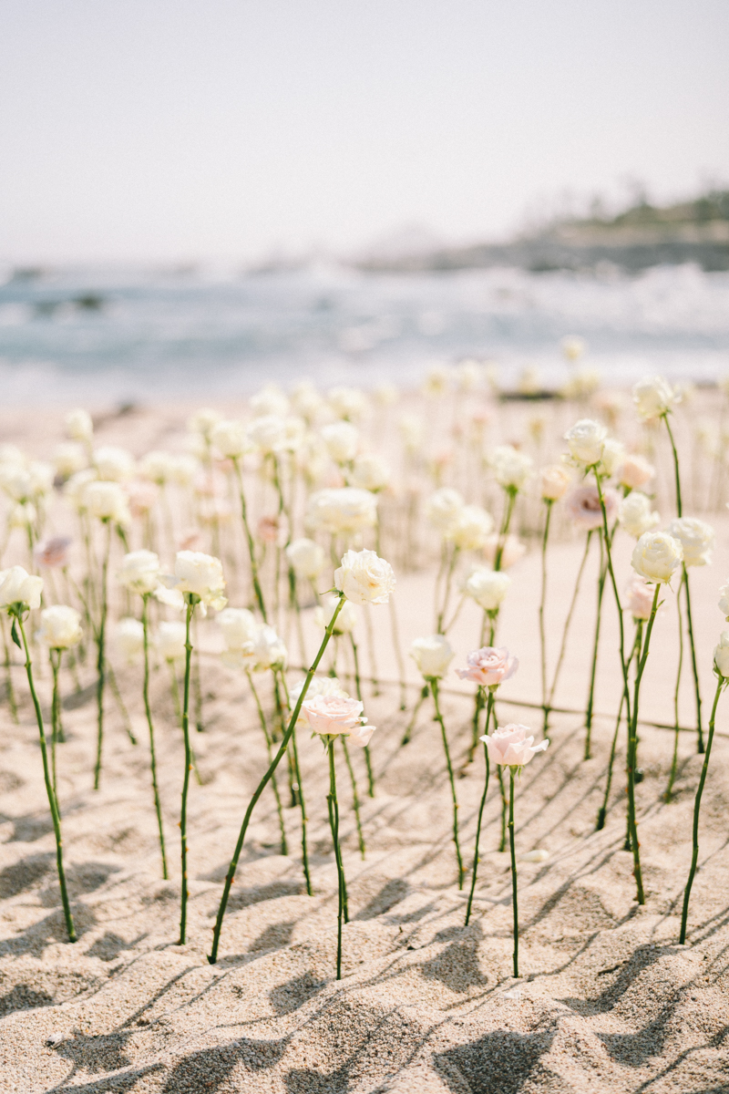 roses in the sand ceremony