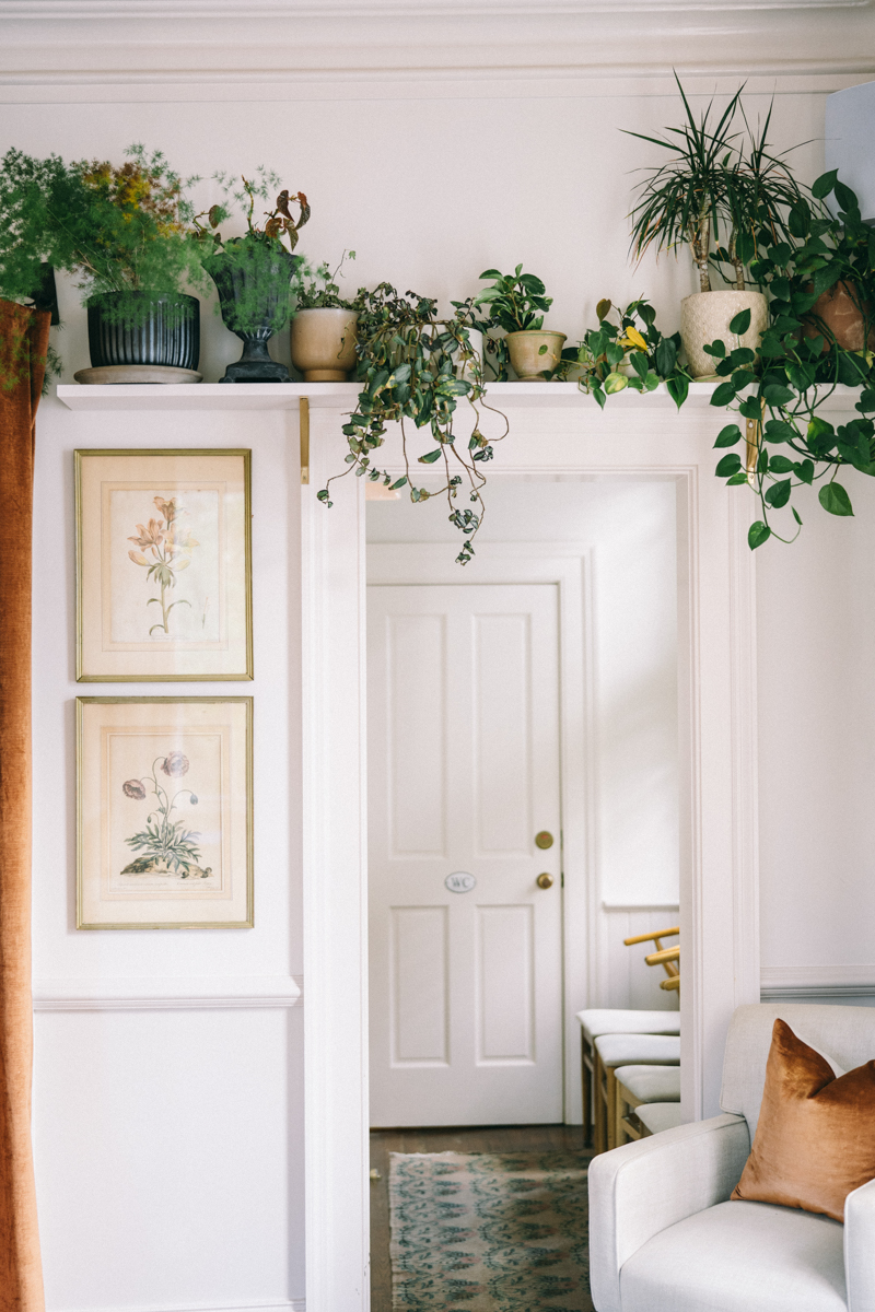 Southern Luxury Hotel with white walls and greenery on shelf