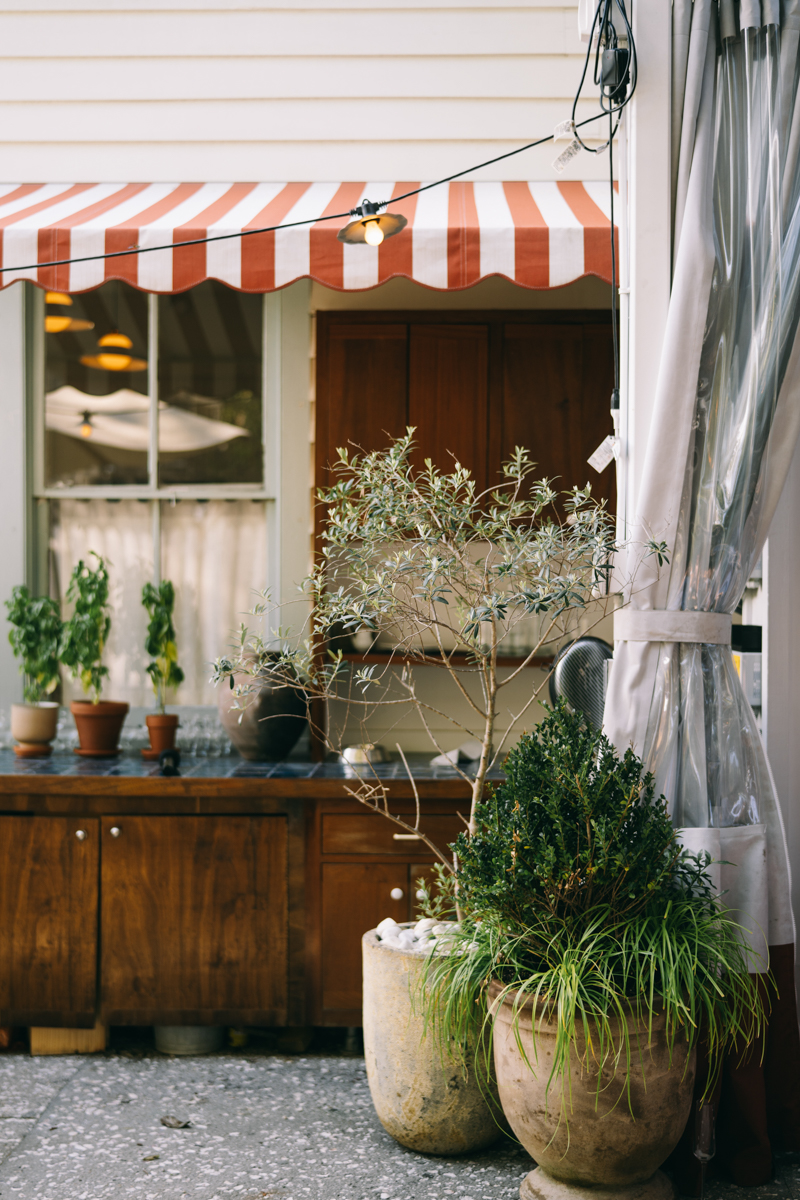 Red and white stripes with greenery