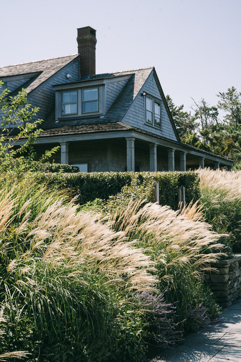 House on Nantucket surrounded by green plants