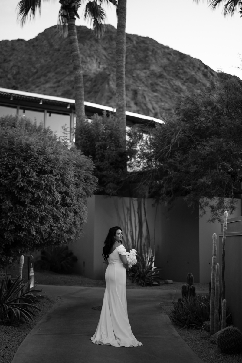 photo of the bride with the desert in the background