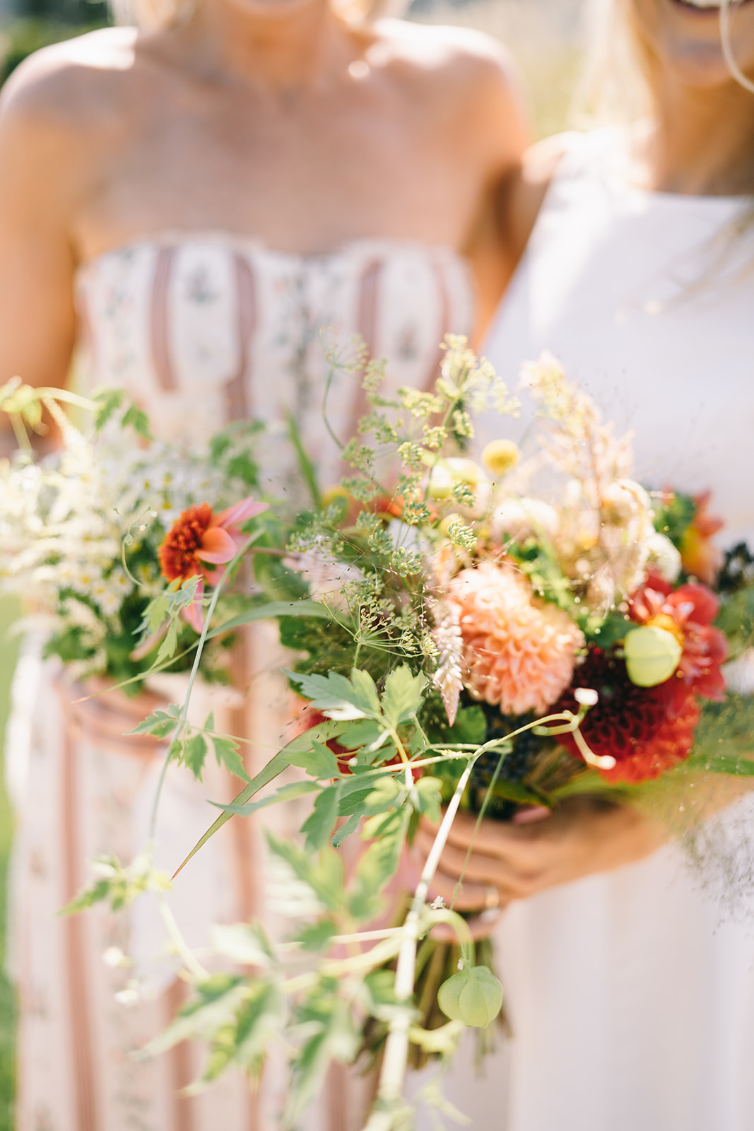 Woman holding fresh pink and red dahlias nantucket wedding