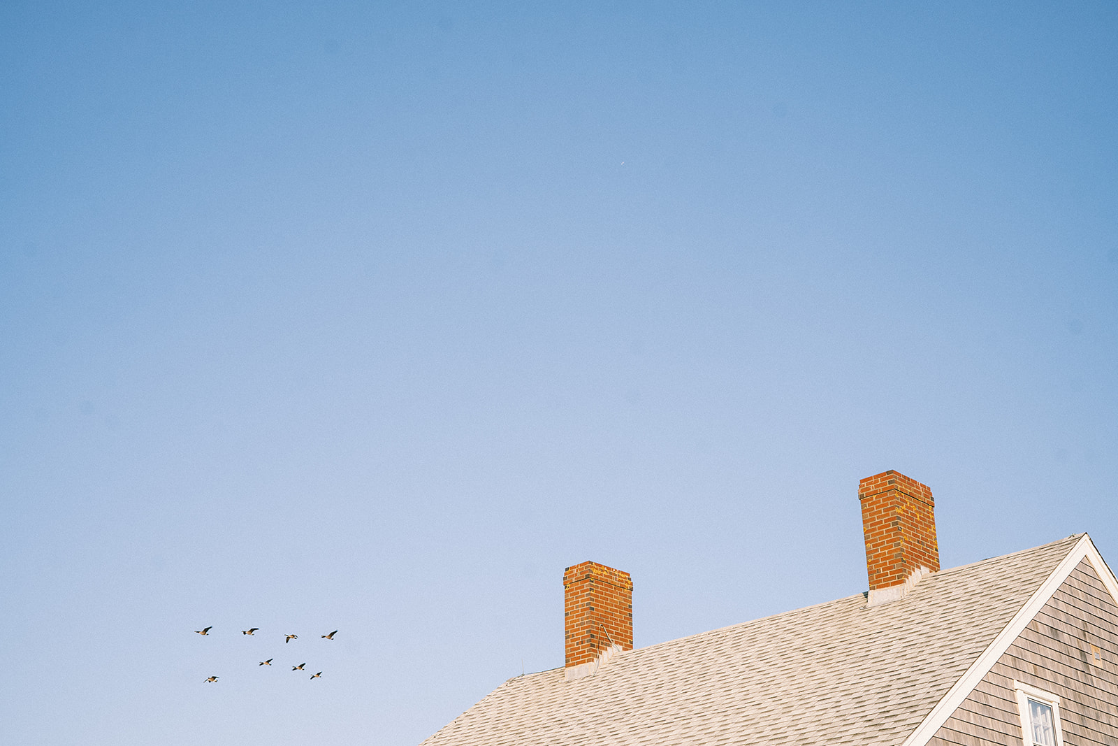 Blue sky and birds flying with the roof of a building