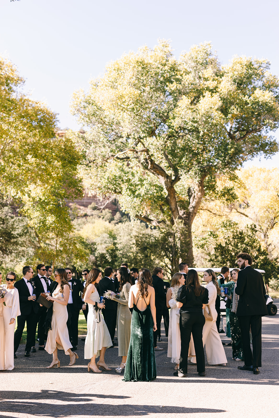 Zoomed out of wedding guests in greens, pinks, and blacks with tall trees 