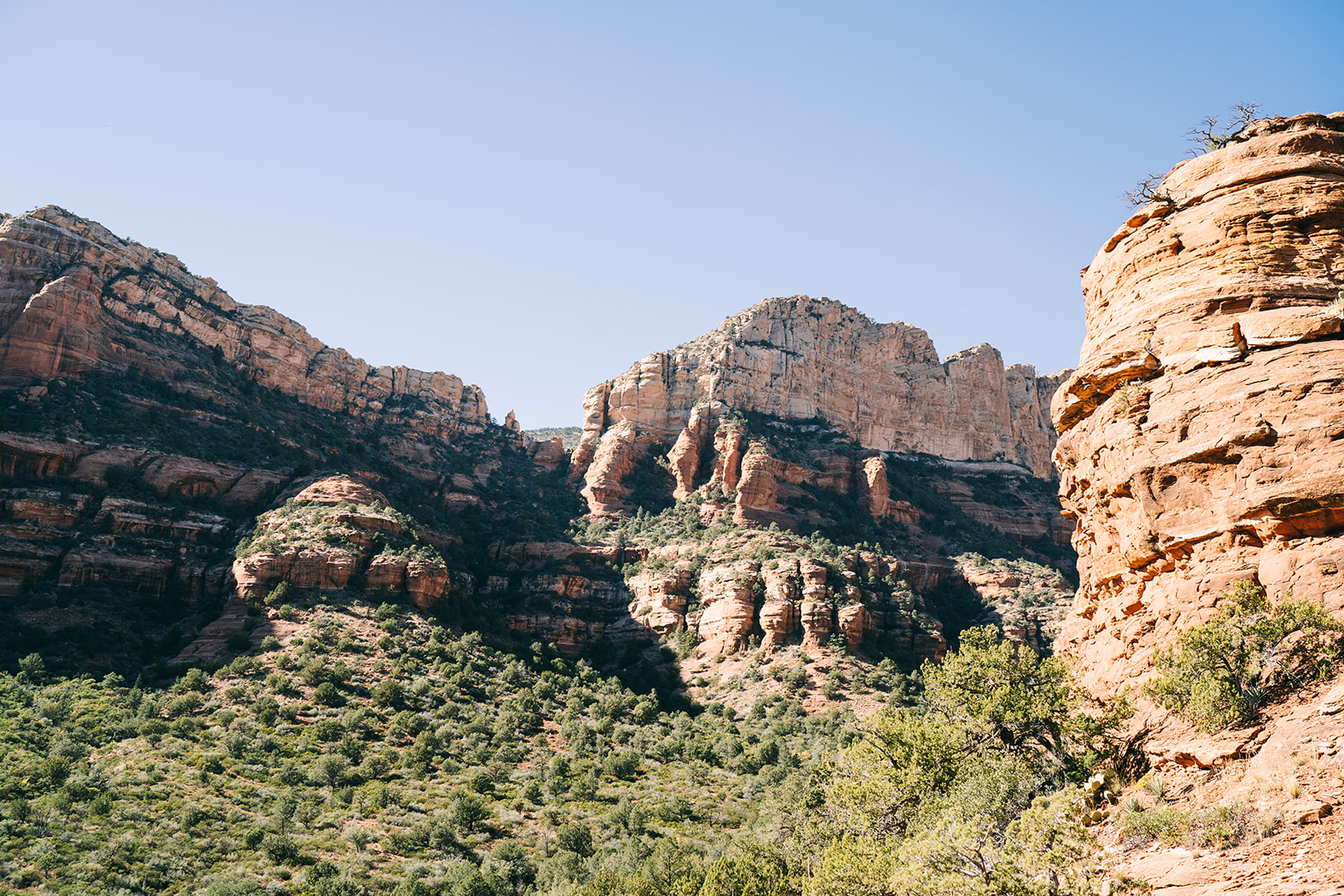 Sedona mountain ranges under a blue sky with foliage