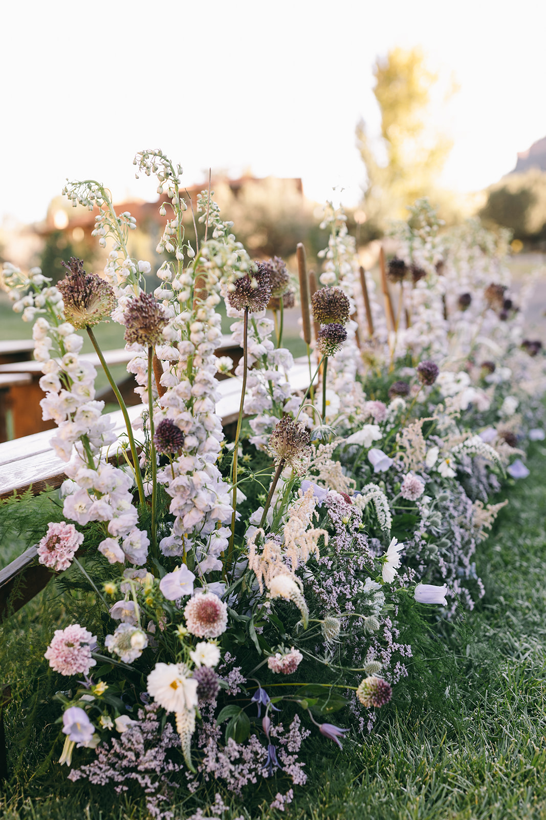 Delicate purple, pink, and white flowers in a row in front of benches 