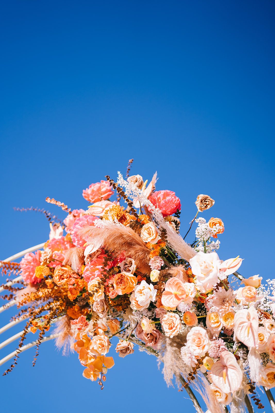 Looking up at a flower arch with delicate orange, pink, and white flowers