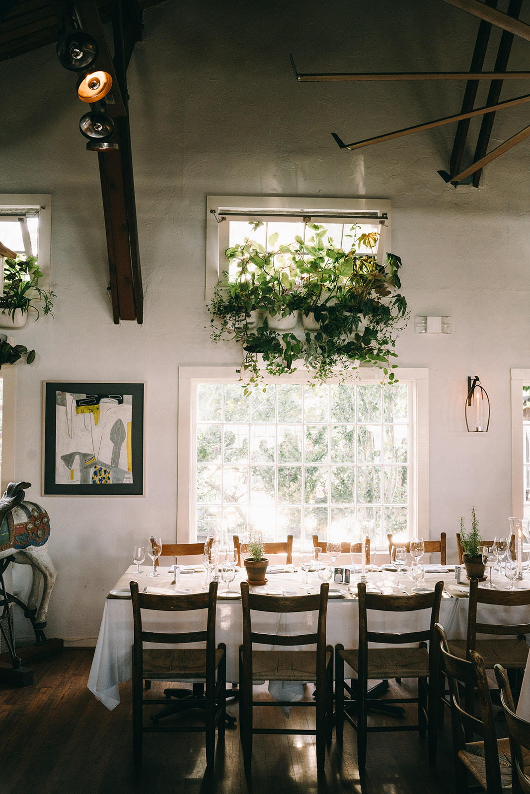 Sunshine pouring onto a table with plants growing above the table