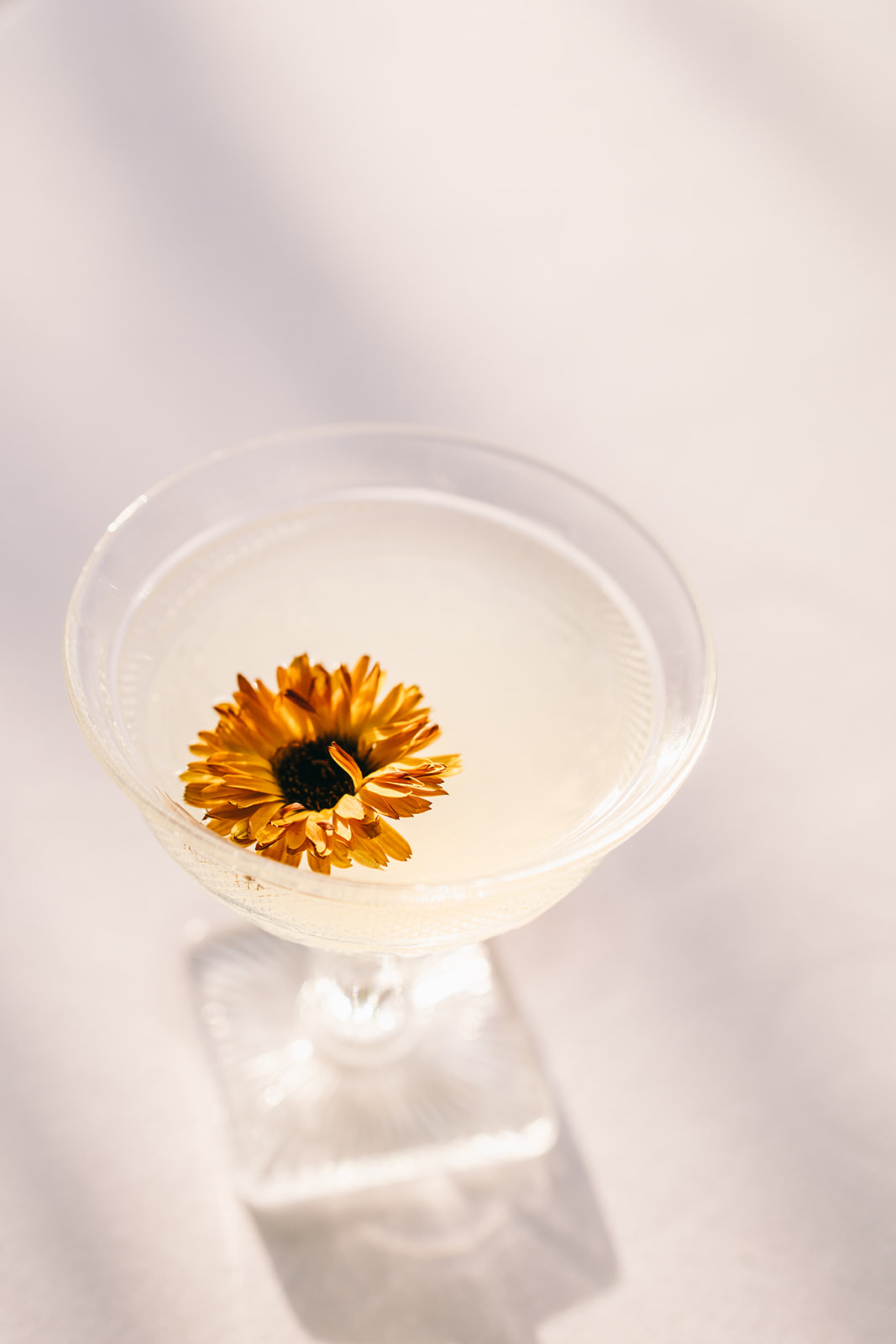 Cocktail with Daisy in the drink placed on a white background 