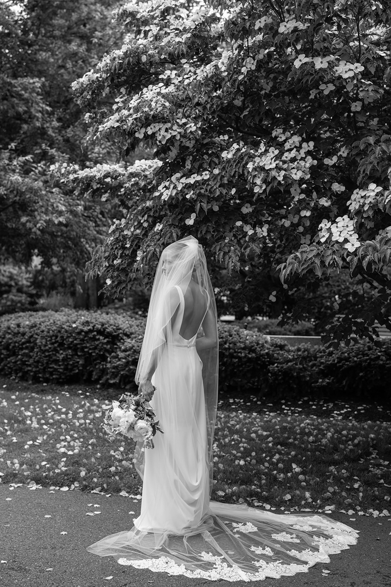 bride in Boston commons park