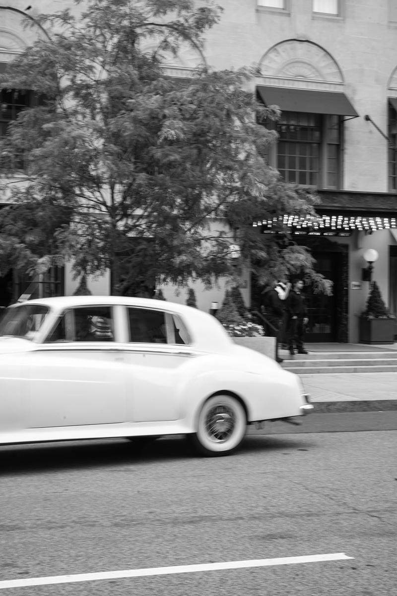 bride in Boston