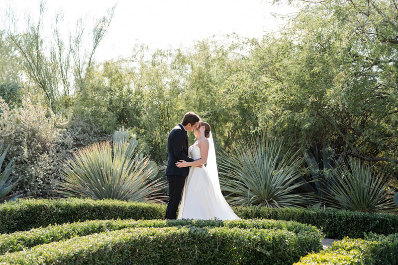 bride and groom portraits