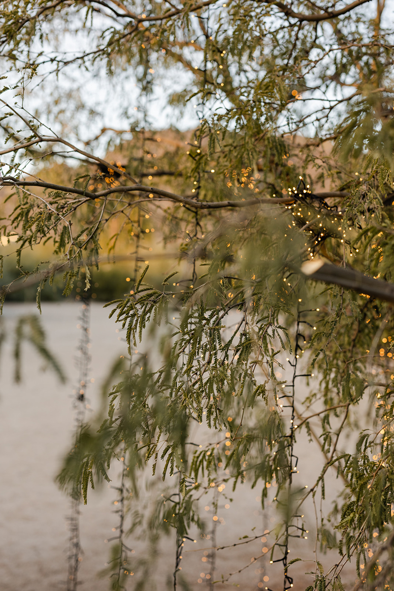 desert decorations