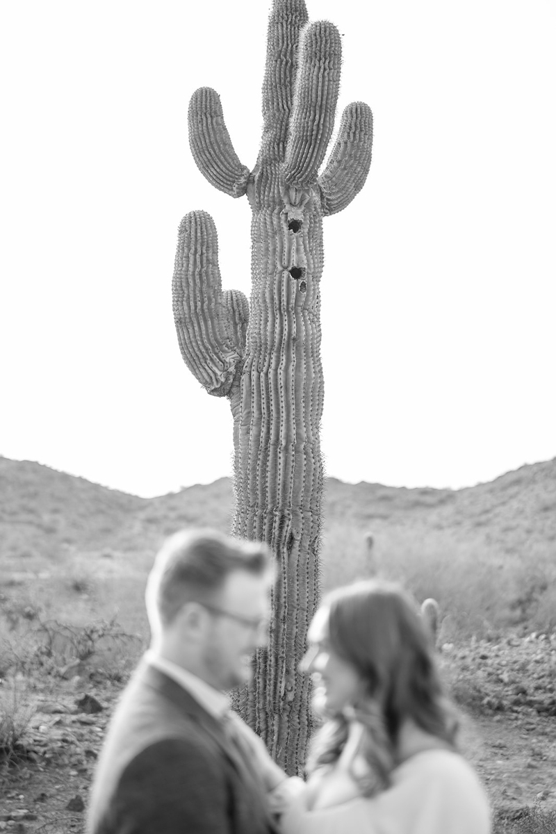 cactus engagement photos