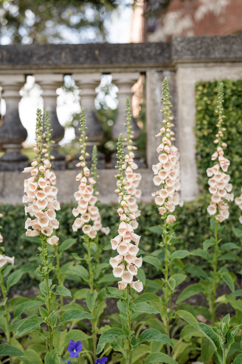 filoli gardens Bay Area California