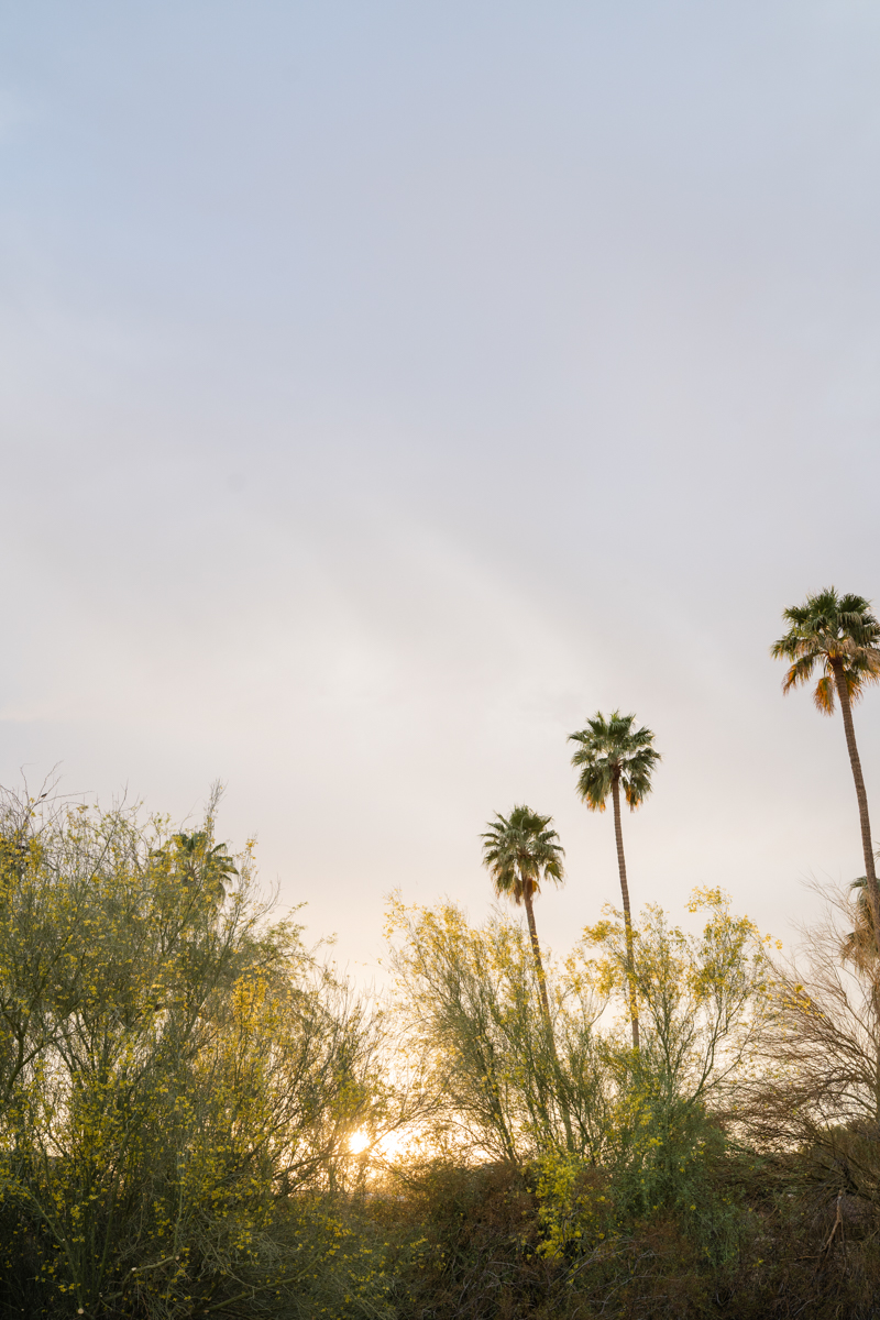 Scottsdale Arizona NFL wedding