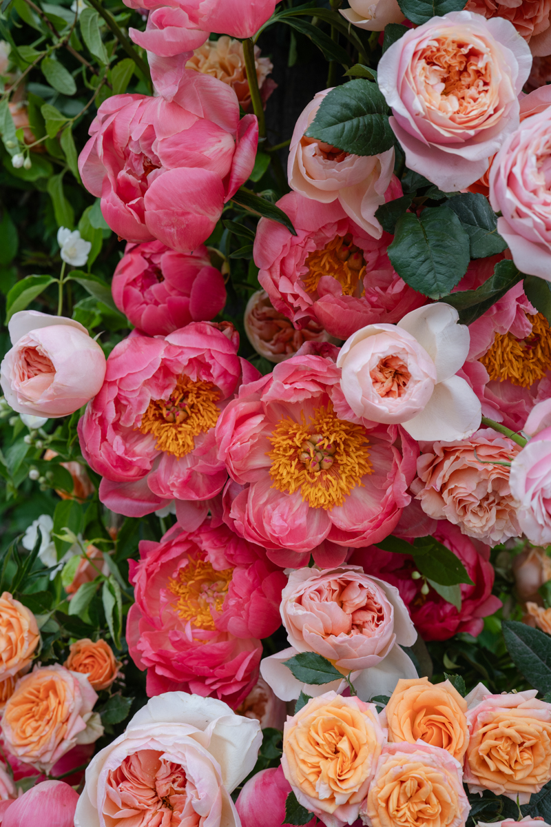 ceremony at castle hill in Newport ri