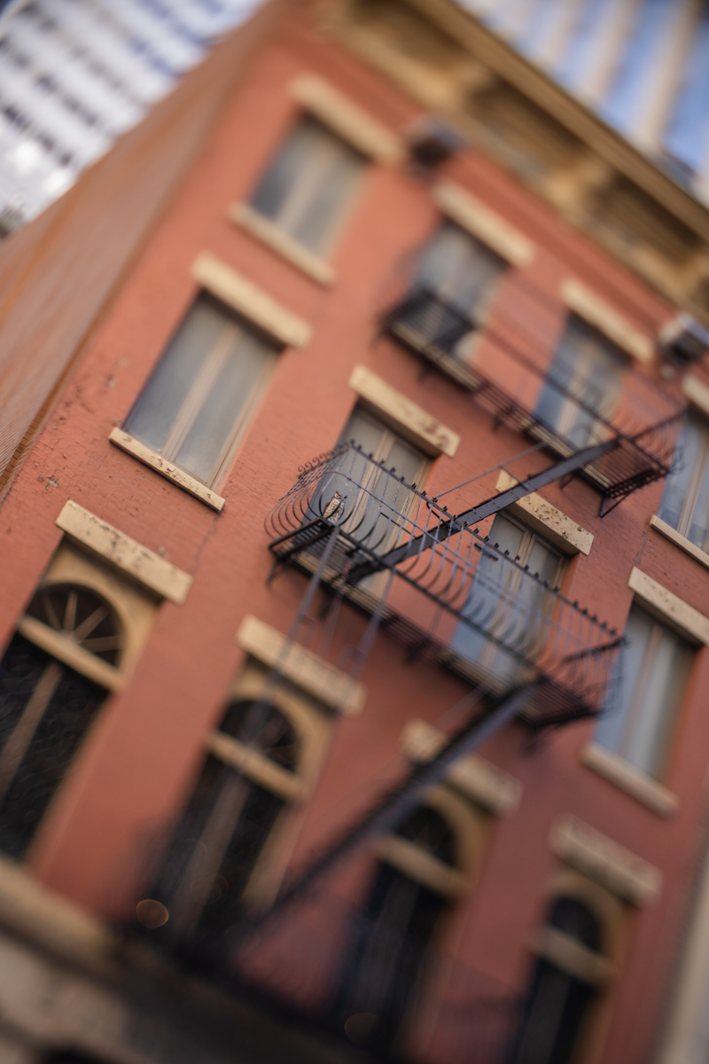 New York photographer