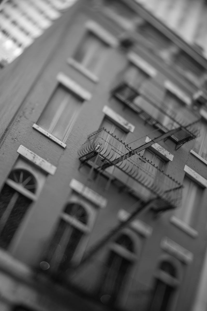 New York photographer