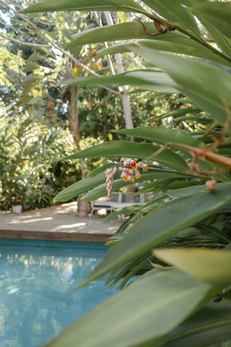 Finca Victoria Puerto Rico Treehouse