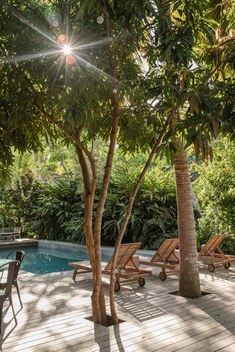 Finca Victoria Puerto Rico Treehouse