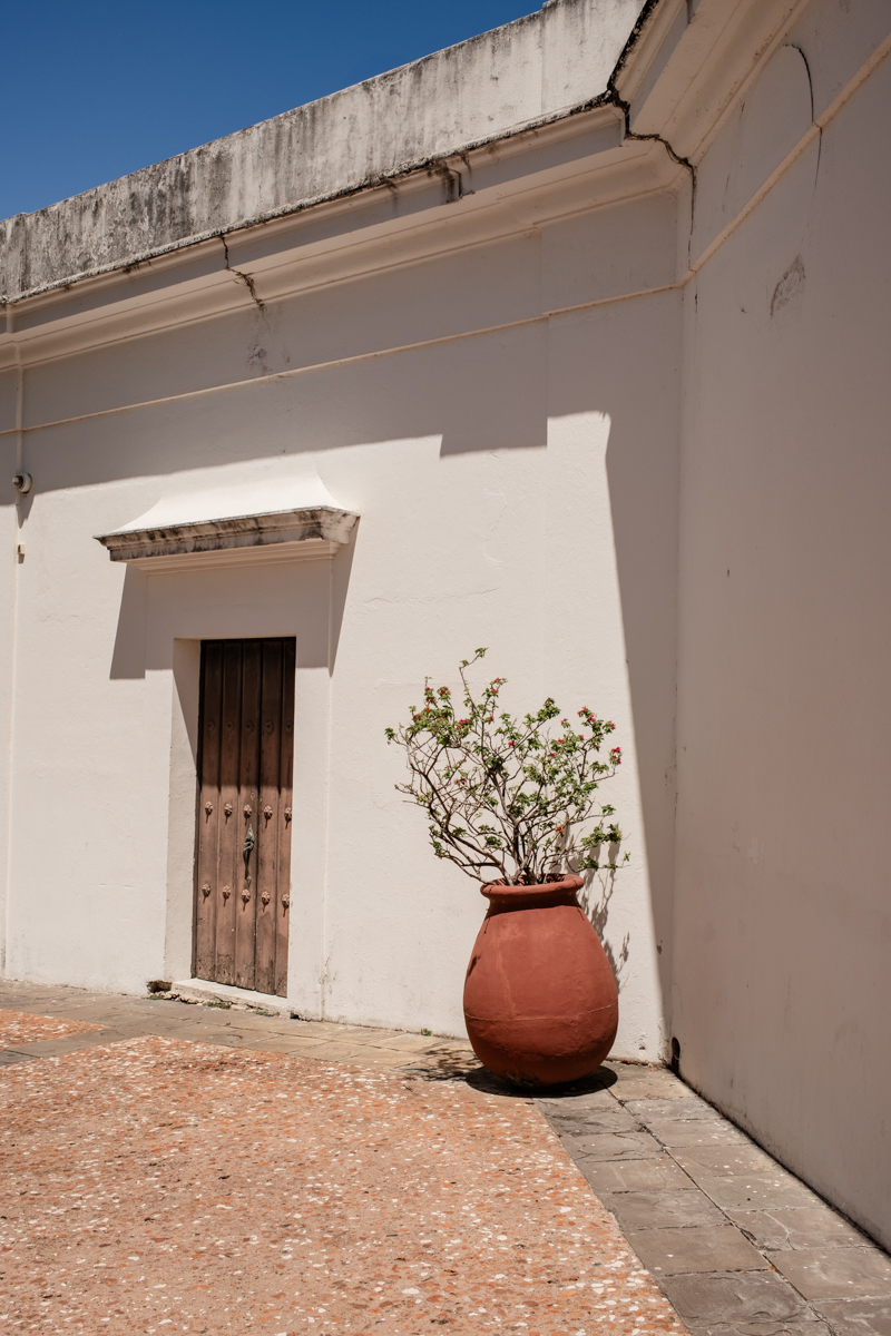 Casa Blanca Engagement Photos San Juan Puerto Rico