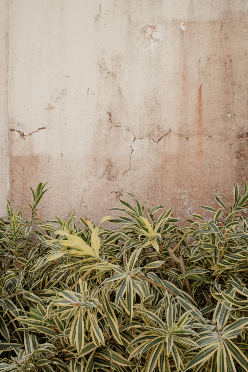 Casa Blanca Engagement Photos Location San Juan Puerto Rico