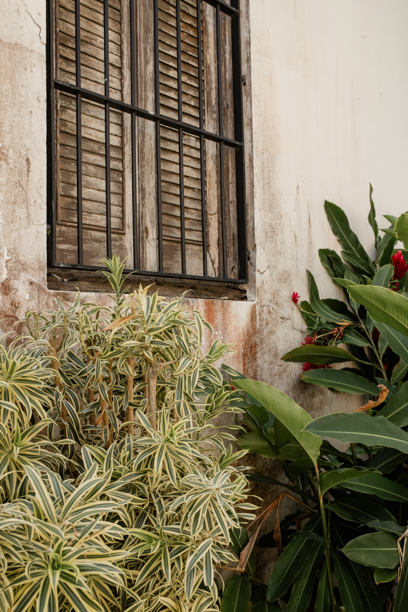 Casa Blanca Engagement Photos Location San Juan Puerto Rico
