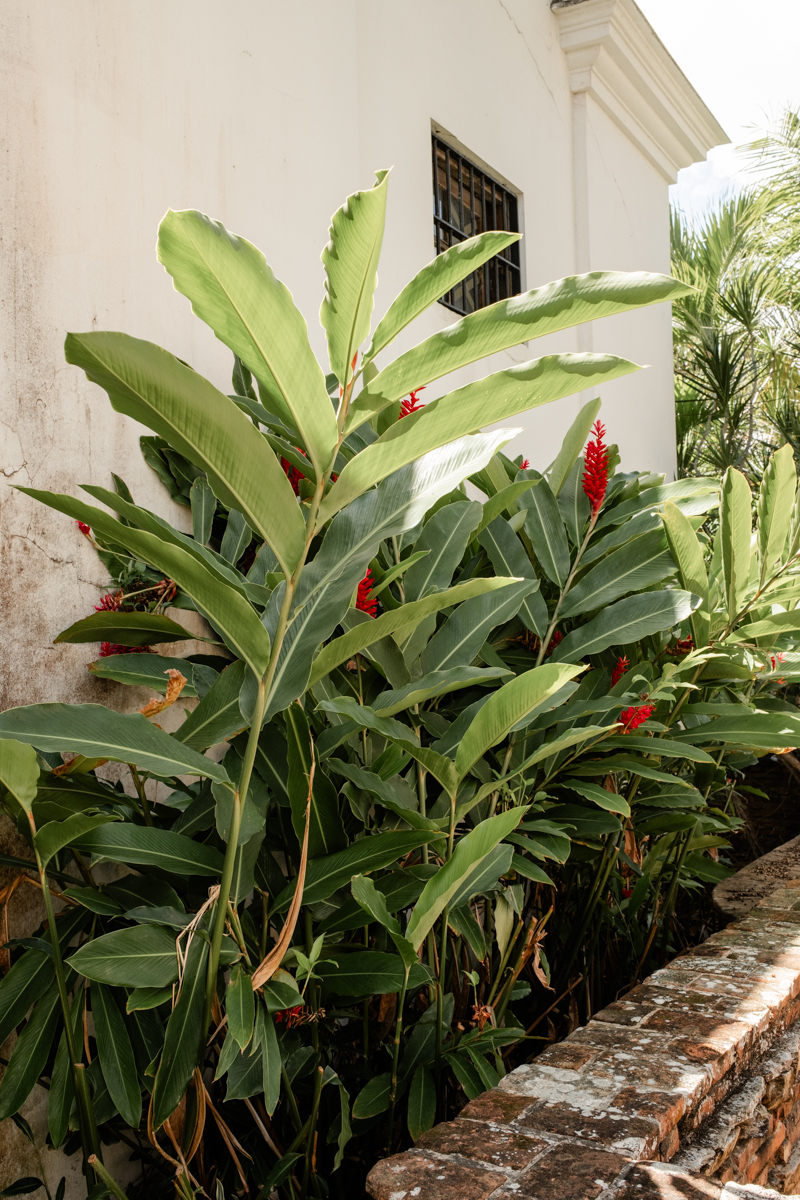 Casa Blanca Engagement Photos Location San Juan Puerto Rico
