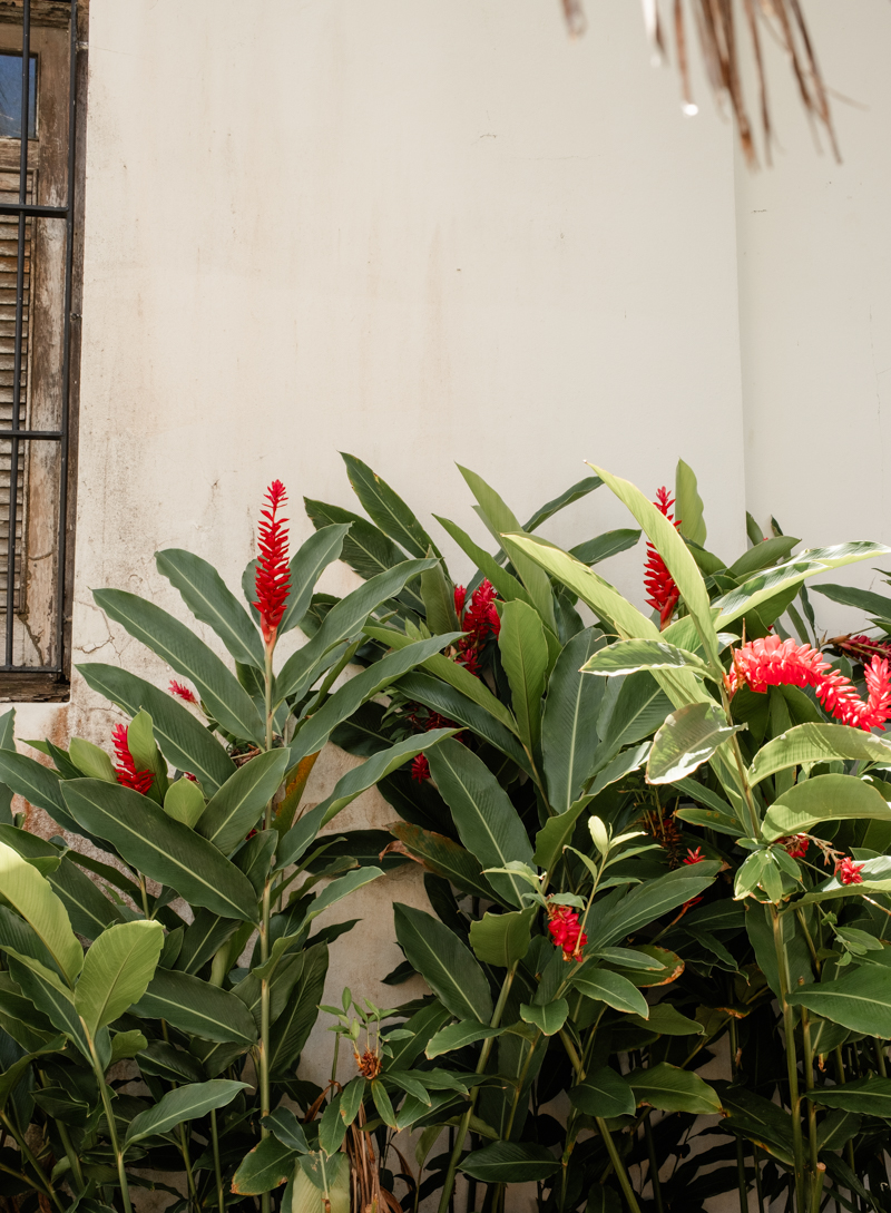 Casa Blanca Engagement Photos Location San Juan Puerto Rico