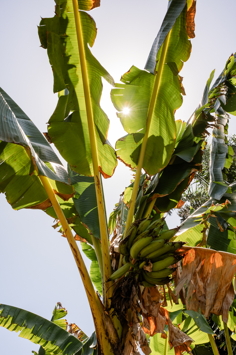 Casa Blanca Engagement Photos Location San Juan Puerto Rico