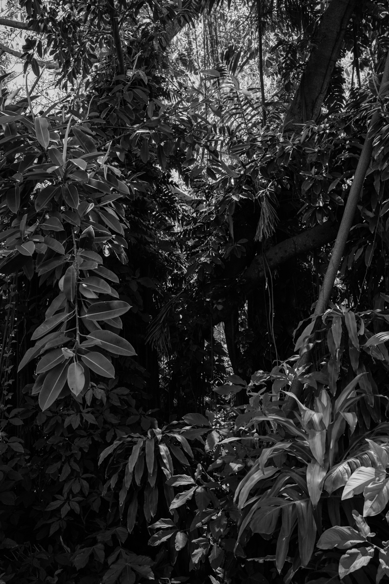 Casa Blanca Engagement Photos Location San Juan Puerto Rico