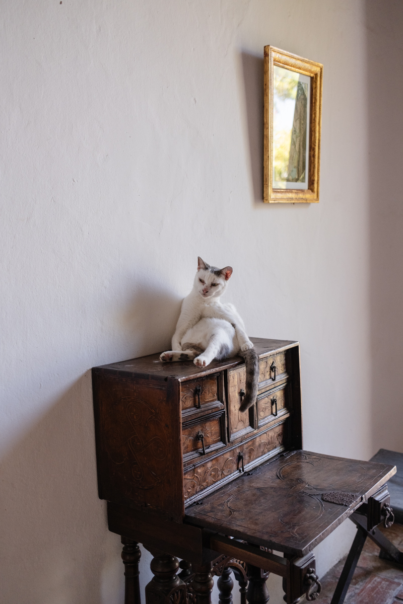 Puerto Rico Engagement Photos spot